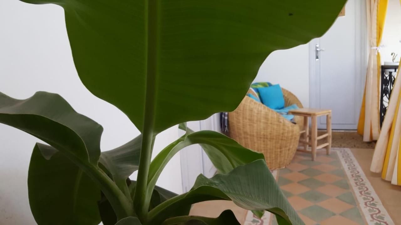 מרקש Riad Medina מראה חיצוני תמונה